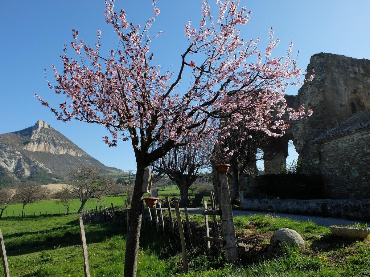 Saint-André-de-Rosans Auberge Du Prieure מראה חיצוני תמונה