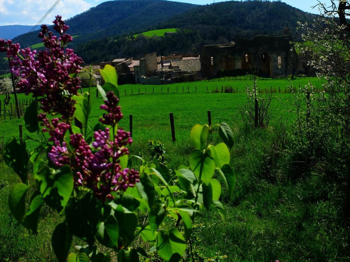 Saint-André-de-Rosans Auberge Du Prieure מראה חיצוני תמונה